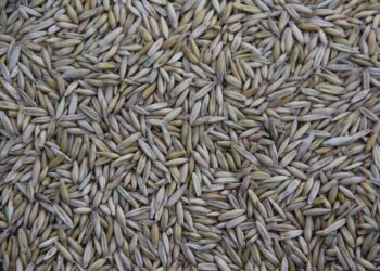 Unlock the Secrets of Off Grid Water Collection Methods: A Sustainable Guide