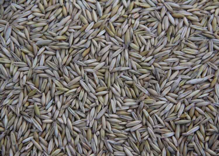 Unlock the Secrets of Off Grid Water Collection Methods: A Sustainable Guide