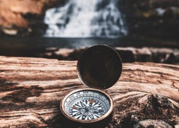 Essential Survival Skills for Camping Trips: How to Stay Safe in the Wild