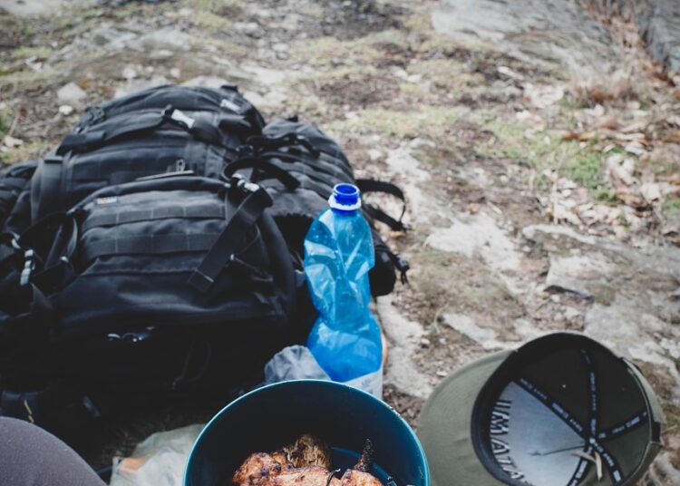 Unlocking the Secrets of Long Term Food Sourcing Off Grid