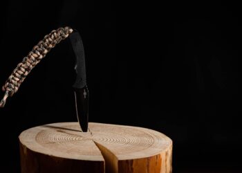 Master the Outdoors: Essential Tips from the Primitive Survival Skills Guide