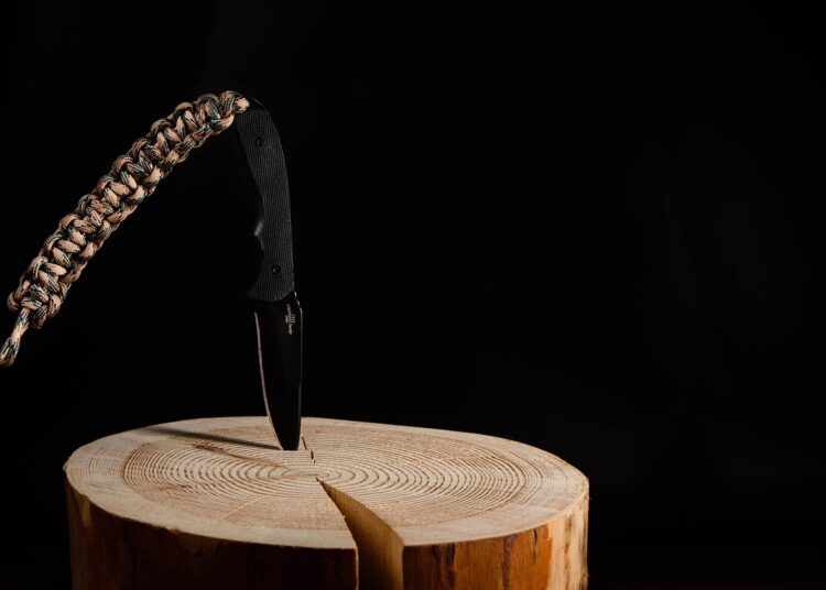 Master the Outdoors: Essential Tips from the Primitive Survival Skills Guide