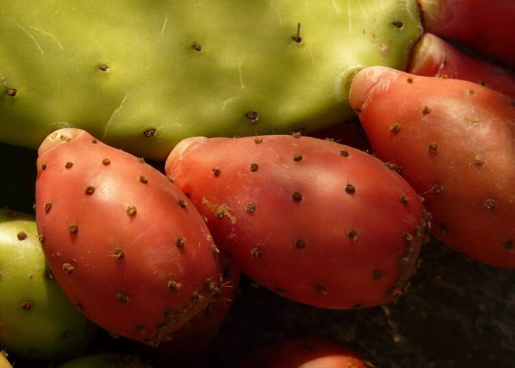 Ultimate Backcountry Water Purification Guide: Stay Safe and Hydrated