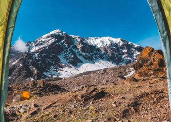 Mastering Bushcraft Outdoor Living Basics: The Essential Guide to Wilderness Skills