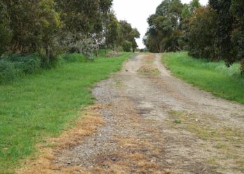 Ultimate Guide to Emergency Preparedness for Campers: Stay Safe in the Wild