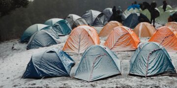 Mastering Bushcraft Outdoor Living Basics: 5 Essential Skills to Learn