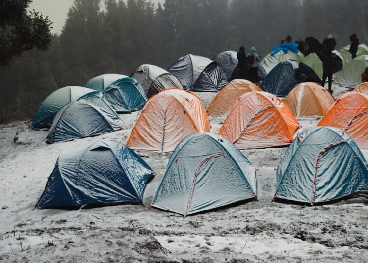 Mastering Bushcraft Outdoor Living Basics: 5 Essential Skills to Learn