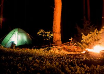 10 Essential Survival Outdoor Shelter Ideas for Every Adventurer