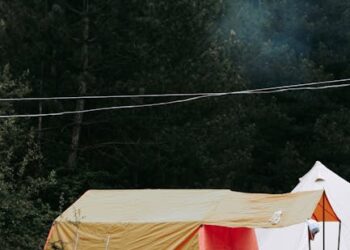 Top 10 Essentials in Outdoor Living Gear for Survival You Can't Miss