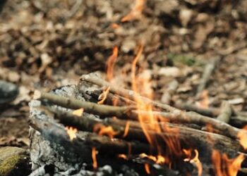 Top 10 Basic Bushcraft Skills for Beginners: Master the Wilderness