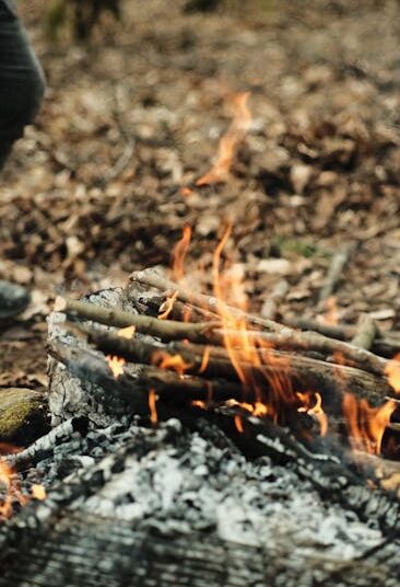 Top 10 Basic Bushcraft Skills for Beginners: Master the Wilderness