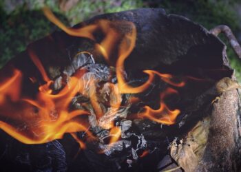 Master the Outdoors: How to Learn Survival Skills in the Wild