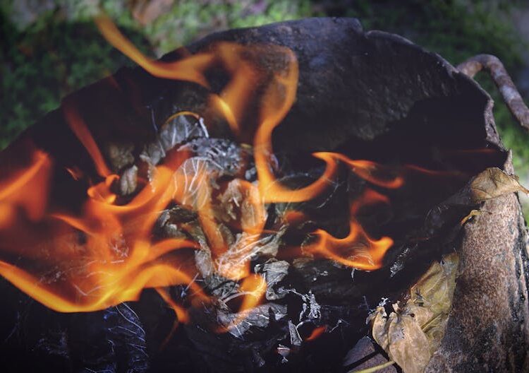 Master the Outdoors: How to Learn Survival Skills in the Wild