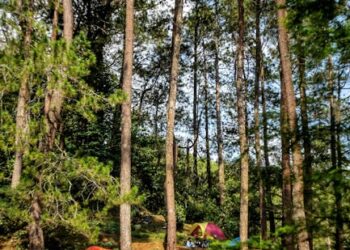 7 Essentials for Your Off Grid Outdoor Kitchen Setup