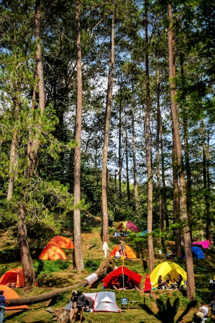 7 Essentials for Your Off Grid Outdoor Kitchen Setup