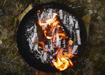 Top 10 Essential Items for Your Wilderness Survival Skills List