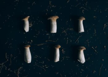 Top 10 Off Grid Food Sourcing Tips for Sustainable Living