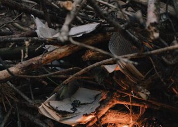 10 Essential Tips for Mastering Backcountry Emergency Preparedness Basics