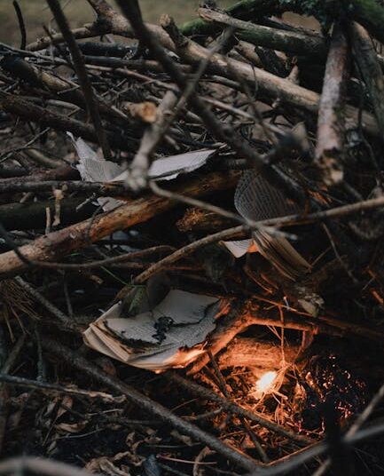 10 Essential Tips for Mastering Backcountry Emergency Preparedness Basics