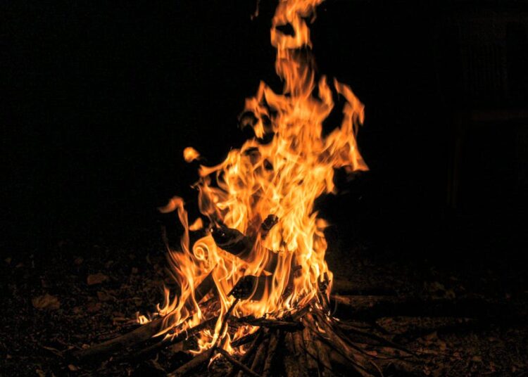 10 Essential Techniques from the Primitive Survival Skills Guide