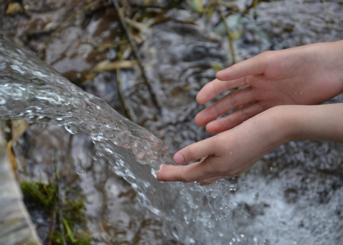 How to Find Drinking Water in the Forest: A Step-by-Step Guide