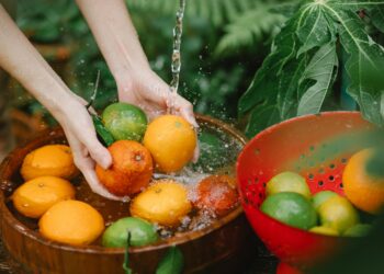 Ultimate Guide to Survival Food Sourcing in the Wild: What You Need to Know