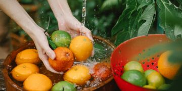 Ultimate Guide to Survival Food Sourcing in the Wild: What You Need to Know