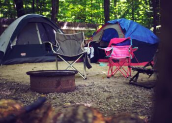 Top Bushcraft Tools for Survival Review: The Essential Guide to Staying Prepared in the Wild