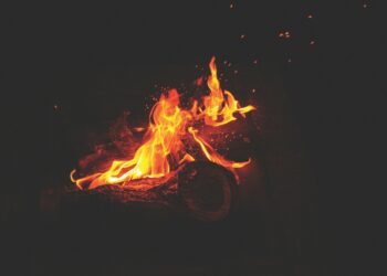 Unveil the Best Fire Starter Survival Review: Top Picks for Your Next Adventure