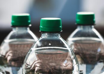 Essential Survival Skills: Mastering Wilderness Water Sourcing Methods