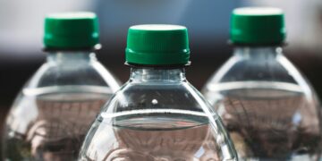 Essential Survival Skills: Mastering Wilderness Water Sourcing Methods