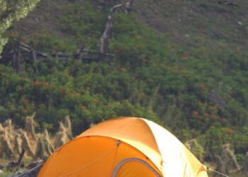 7 Essential Tips for Mastering Minimalist Outdoor Living Survival