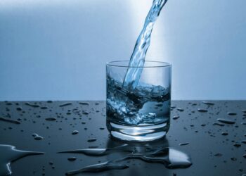 Ultimate Guide to Survival Water Filtration in the Wild: Top Techniques