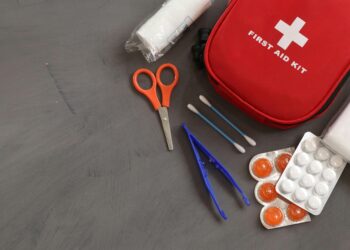 Top 10 Essential Survival Skills for Solo Adventurers