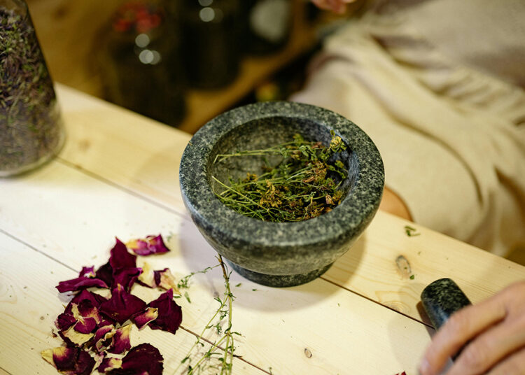 7 Essential Wilderness Food Gathering Tips for Beginners