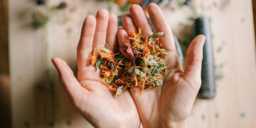 Master Your Survival Skills: The Ultimate Off Grid Food and Water Checklist